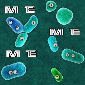 Me Me Me
