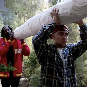 DESCE MAROLADA, SOBE MAROLADA