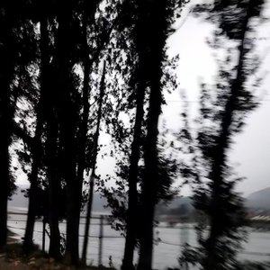 幸福像雨 打不满每片叶子