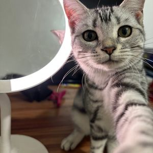 未知歌手 - mix2中国力量