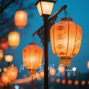 正月十五闹花灯 团团圆圆