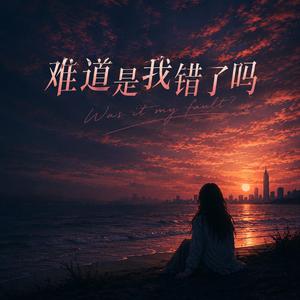 难道是我错了吗