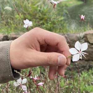 见到你第一眼就知道会送出这束花