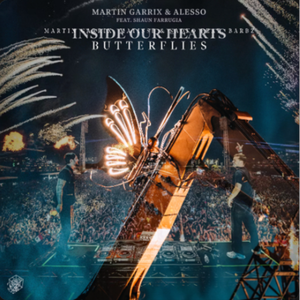 Butterflies x Inside Our Hearts (Alesso Mashup)