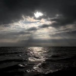 繁华落叶终是回忆