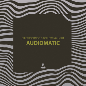 Audiomatic (Original Mix)