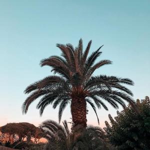 Eurythmics - Sweet Dreams (GALABRO Remix)