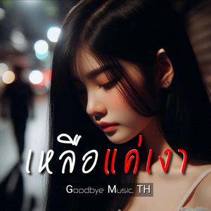 เหลือแค่เงา