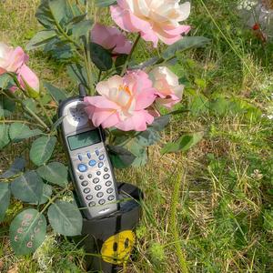 Summer Crush (feat. Shoshana Glory)