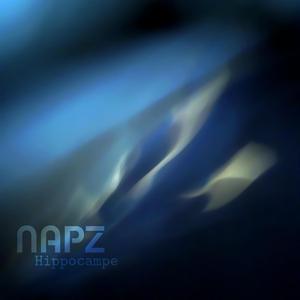 Hippocampe
