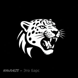 Это Барс