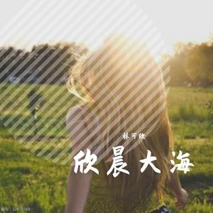 后来遇见他-林可欣