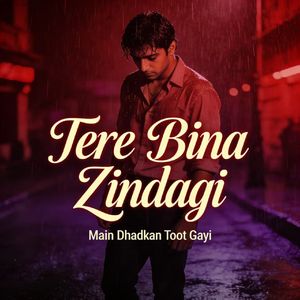 Tere Bina Zindagi