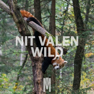 Wild (Original Mix)