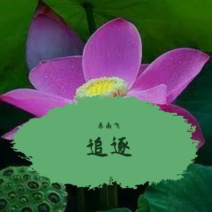 追逐 3