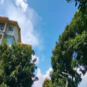 夏季告白 (新版)