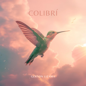 Colibrí