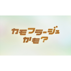 カモフラージュかも？