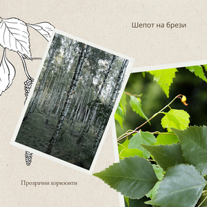 Вътре В Отзвука