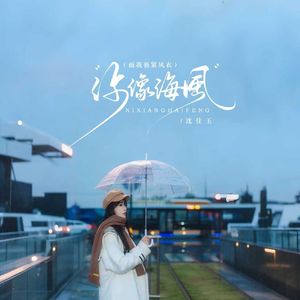 你像海风（而我裹紧风衣）