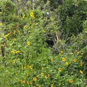 君の気持ちはわかる