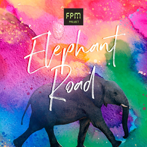 Elephant Road 2019