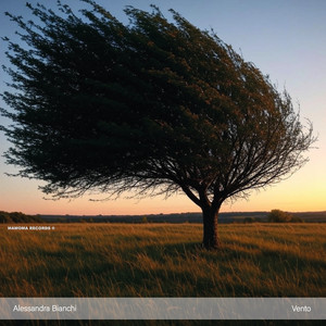 Papaveri (Original Mix)