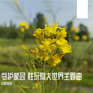 守护家园（胜玩岛大世界主题曲·女声版）