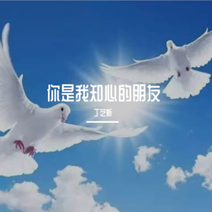 你是我知心的朋友