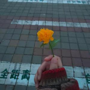 董小姐 -LLLLL（翻自 ChenXi）