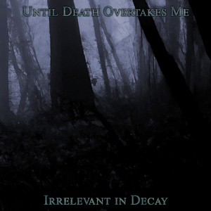 Filtering out of Reality