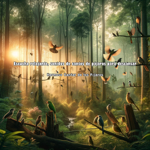 Aire Puro, Cantos de Pájaros para Limpiar Tu Espacio