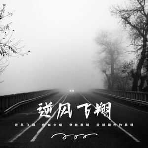 逆风飞翔