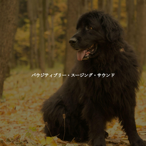 Distinguished Music for Latte Dreams