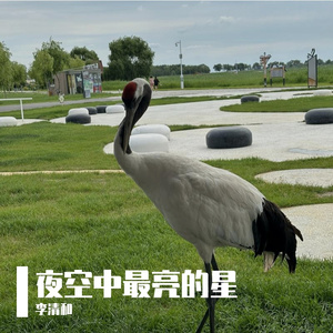 夜空中最亮的星