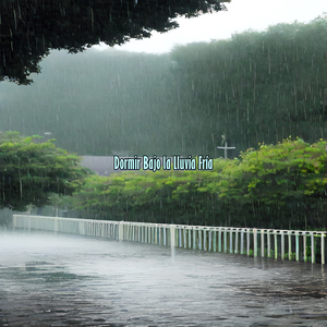 Sueños Refrigerados Lluvia Eterna