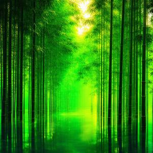 Moonlight Over Two Towns