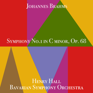 Symphony No.1 in C Minor, Op. 68: II. Andante Sostenuto