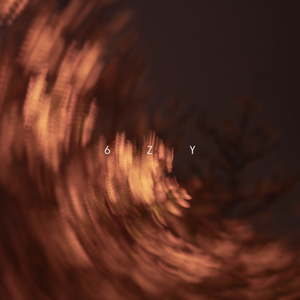 要和买烤肠的朋友一起玩.wav