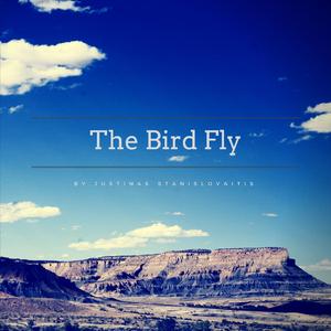 The Bird Fly