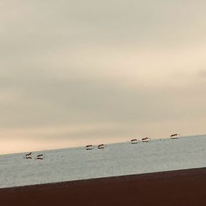 好久-很久_bgm