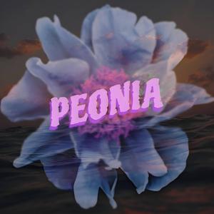 Peonia