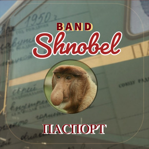 Паспорт