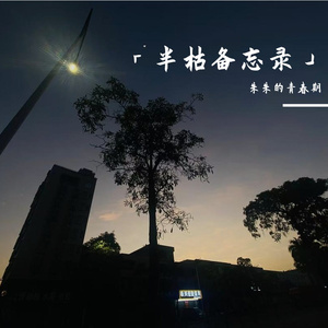 晨露未干的遗憾