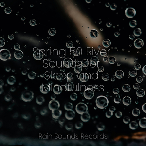 Soggy Symphony Under Moonlight