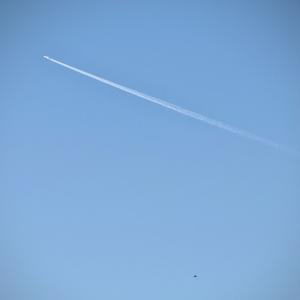 有我（庆祝第五个中国人民警察节）