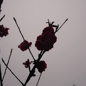 thoughts and feelings Freestyle(prod by 大力出奇迹)