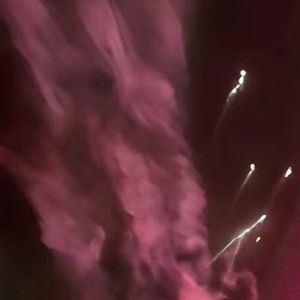 草原上的自由歌