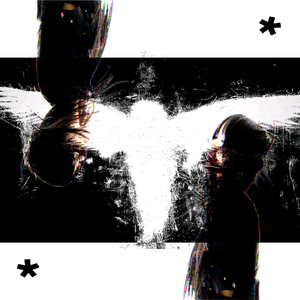 DEL CAOS NACEN ESTRELLAS