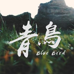 群星-青鸟（林子安anviolin Remix）